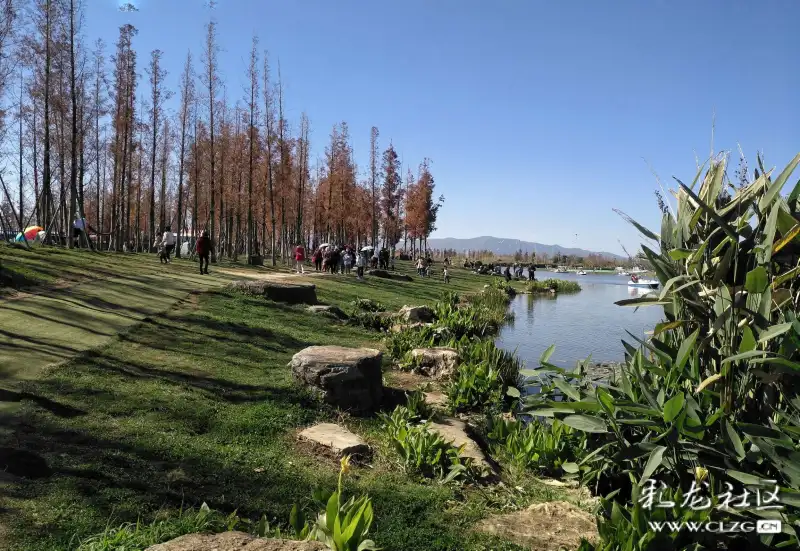 斗南湿地人景成趣和谐共欢手机摄影