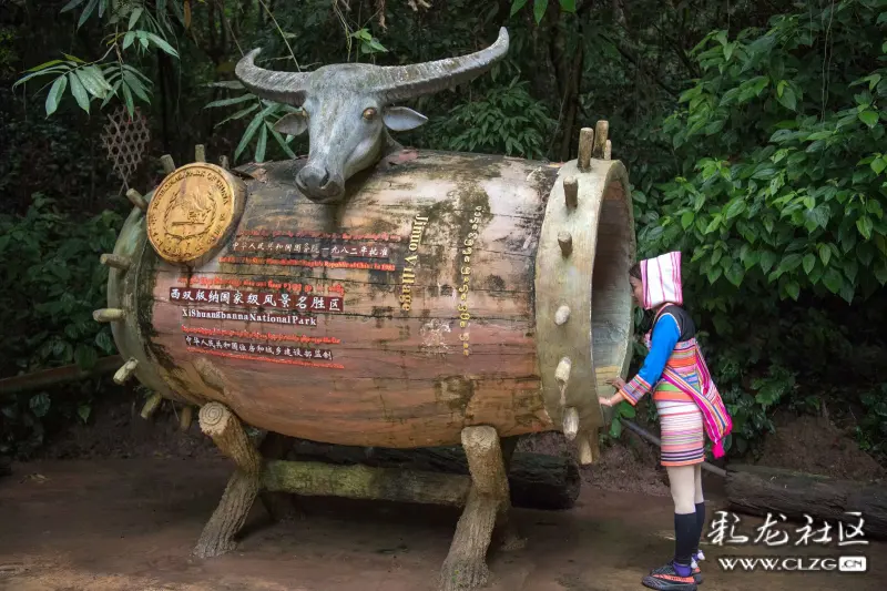 西双版纳基诺山寨