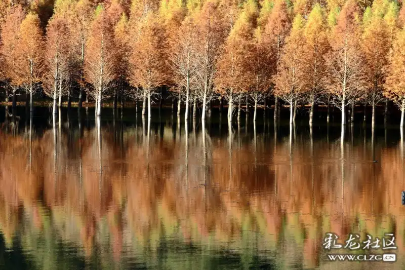 clzg_content&clzg_scale=1368,912