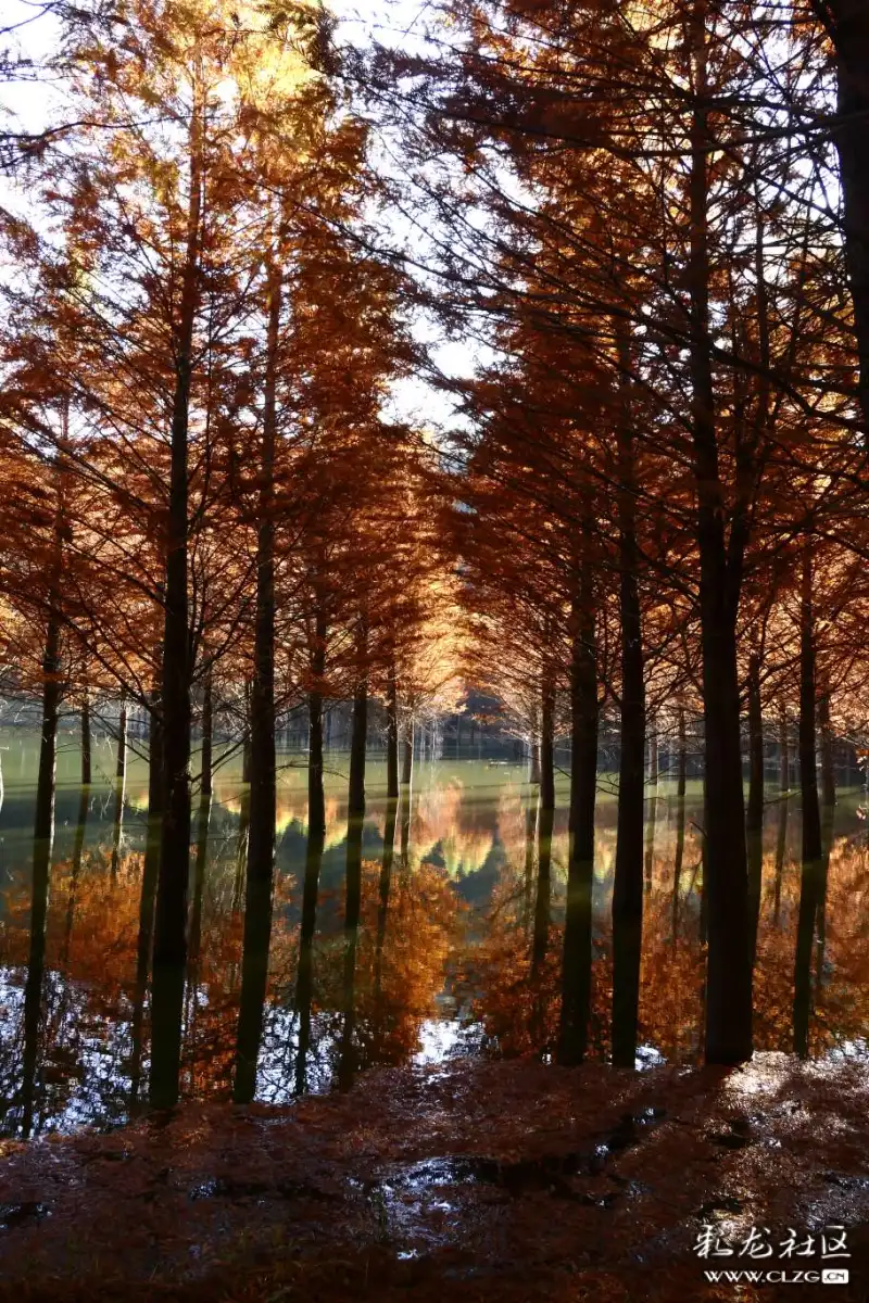 clzg_content&clzg_scale=912,1368