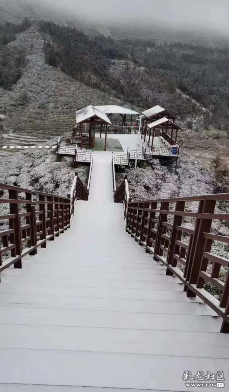 转发瑞雪兆丰年富宁鸟王山下雪了