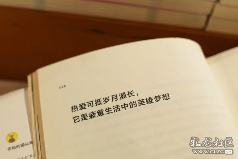 热爱可抵岁月漫长下句话是什么 clzg_content&clzg_scale=1620,1080