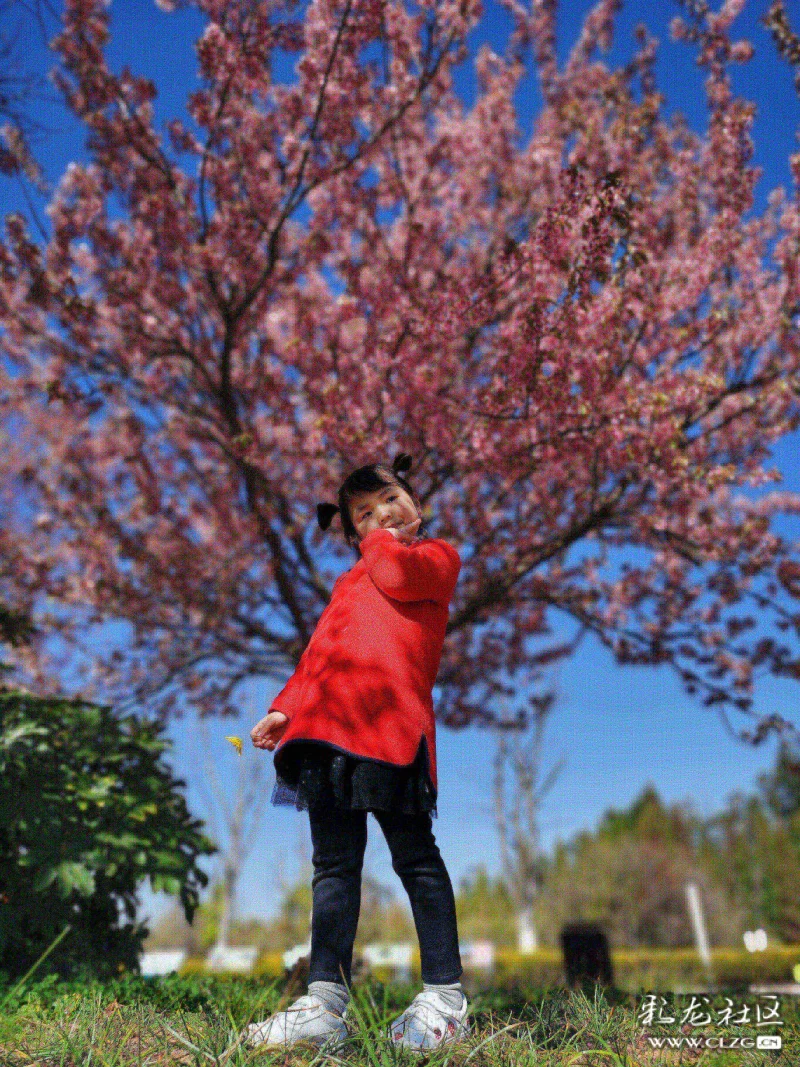 小朋友拍照姿势合集