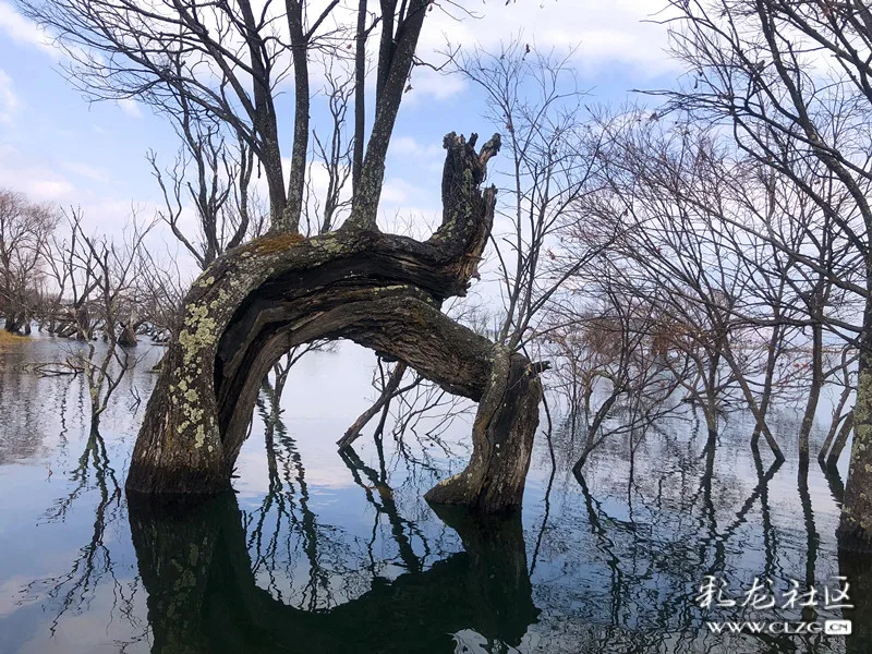 黃龍潭之冬