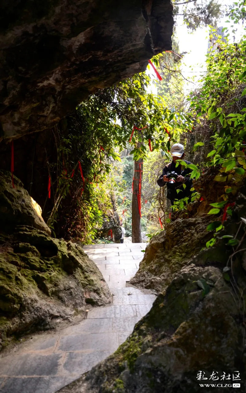 中医药文化康养小镇杏林园二