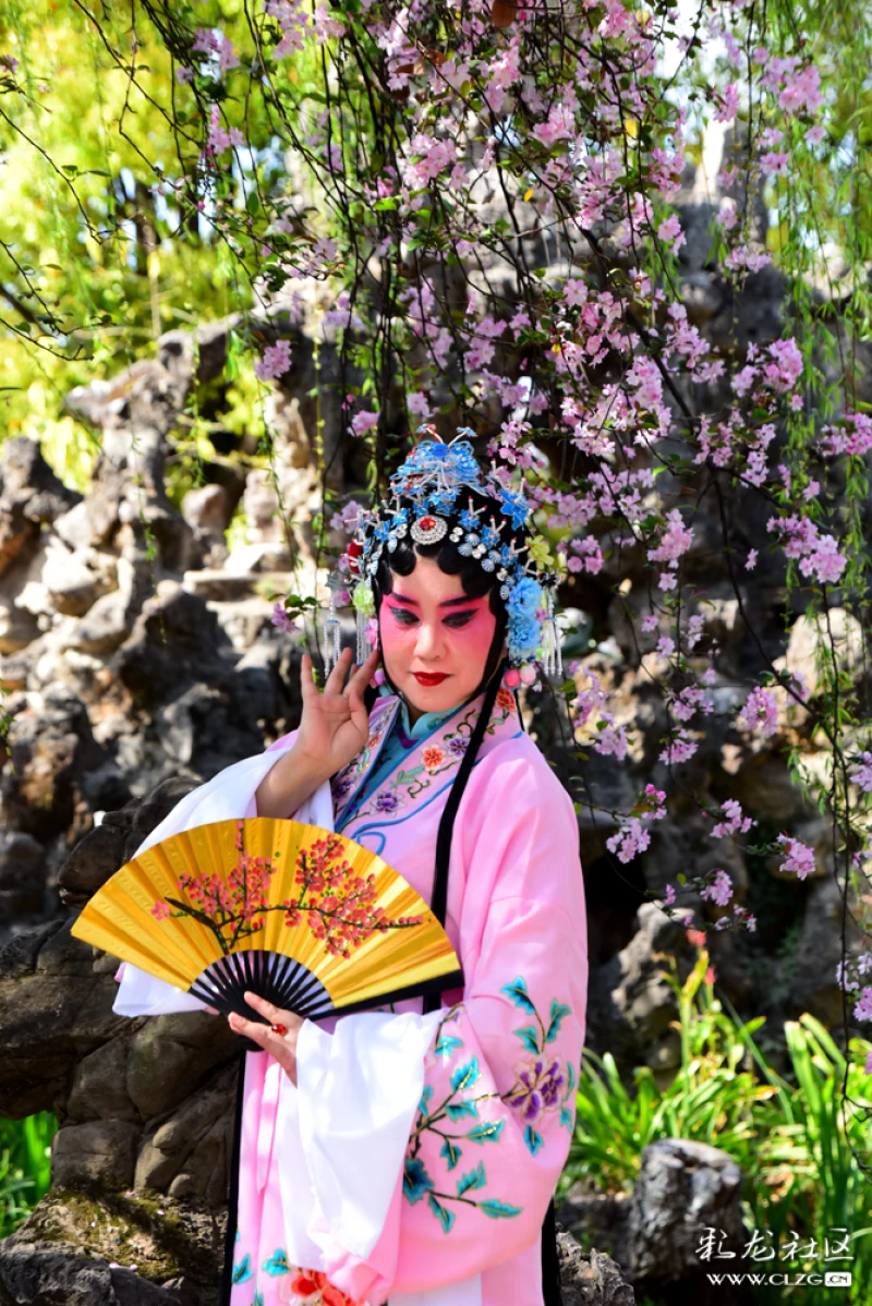 庾园的春花遇上了唱京剧的杨柳