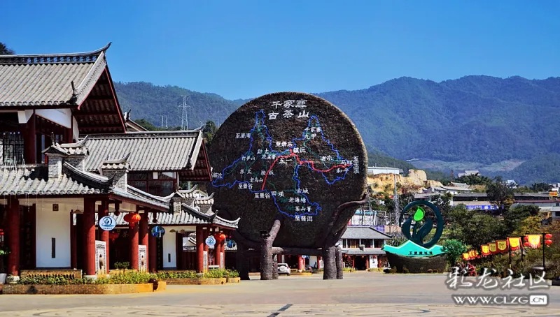 世界茶王芳香镇沅醉在木棉花树下