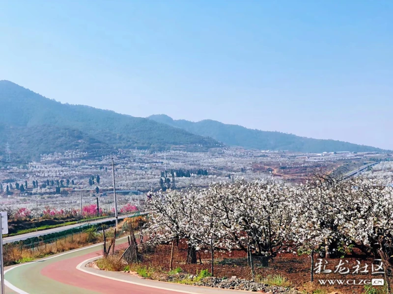 章溪人口_人口普查(3)