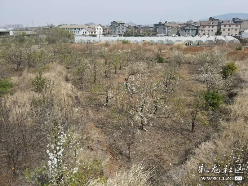 章溪人口_人口普查(3)