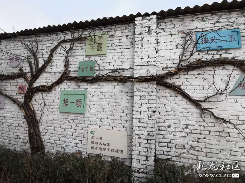 章溪人口_人口普查(3)