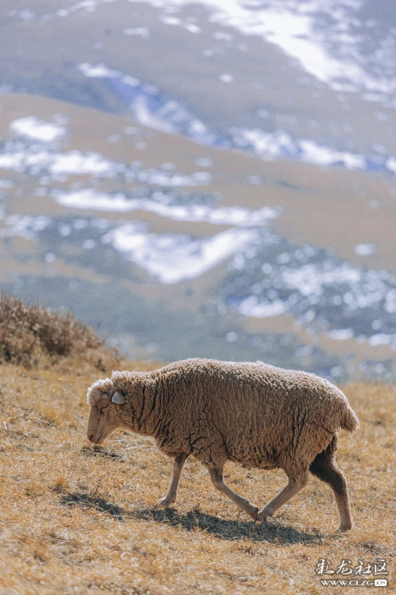 800_1200竖版 竖屏