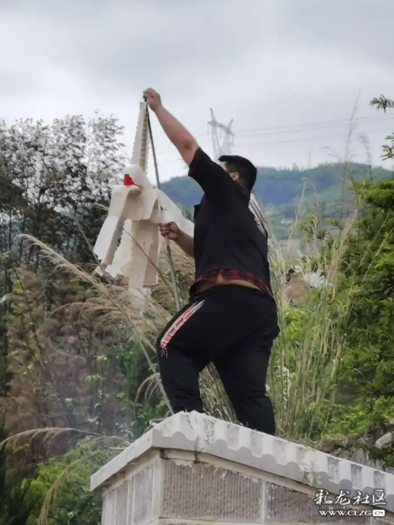 清明时节挂清祭奠亲人