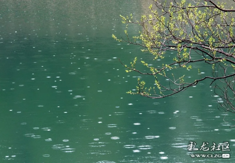 春天送你一幅雨帘