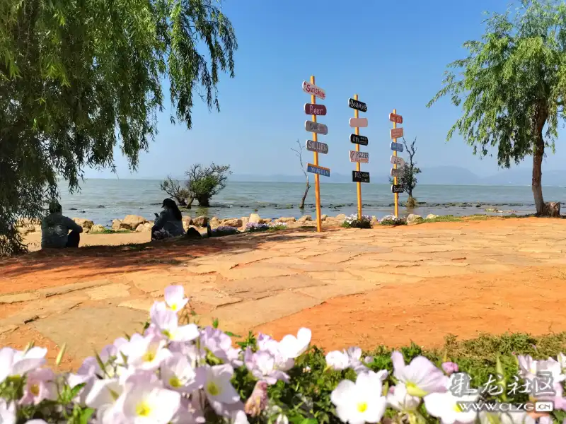 遇见唯美官渡三王官湿地公园