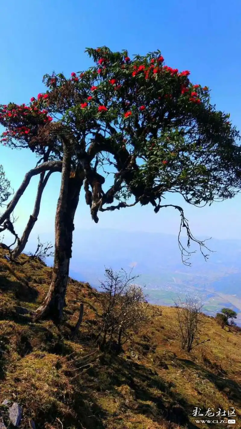 漕涧风景