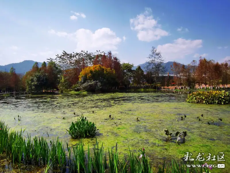 无量山湿地公园