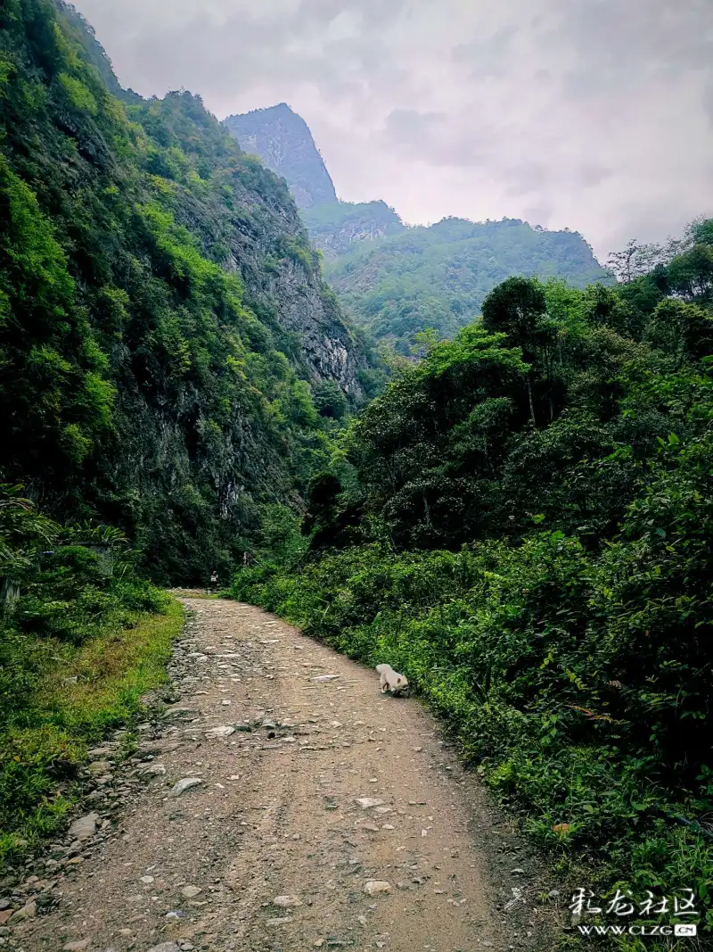 深山 clzg_content&clzg_scale=1500,2000