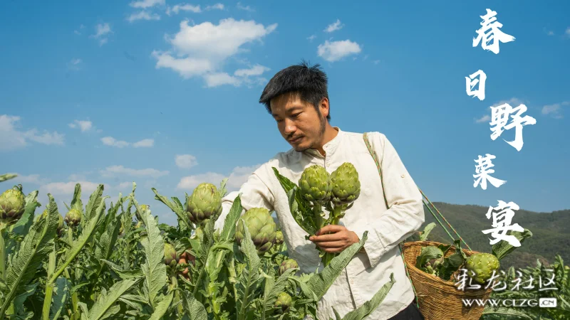 做个牛排,山里再转一圈,蕨菜,折耳根,藜蒿,钩担头这些野菜也不能少
