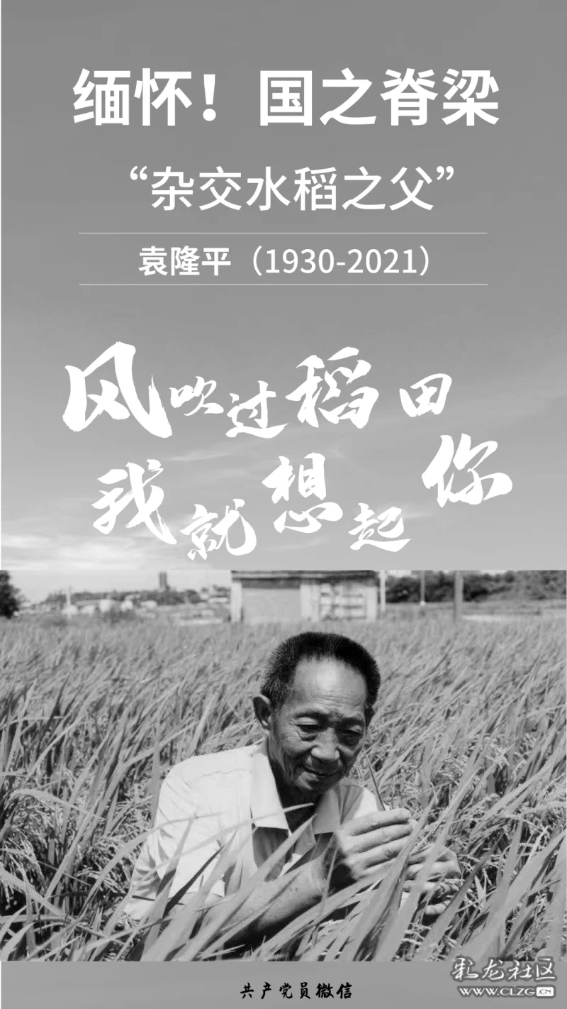袁隆平去世作文450_逝世作文袁隆平300字_袁隆平逝世作文
