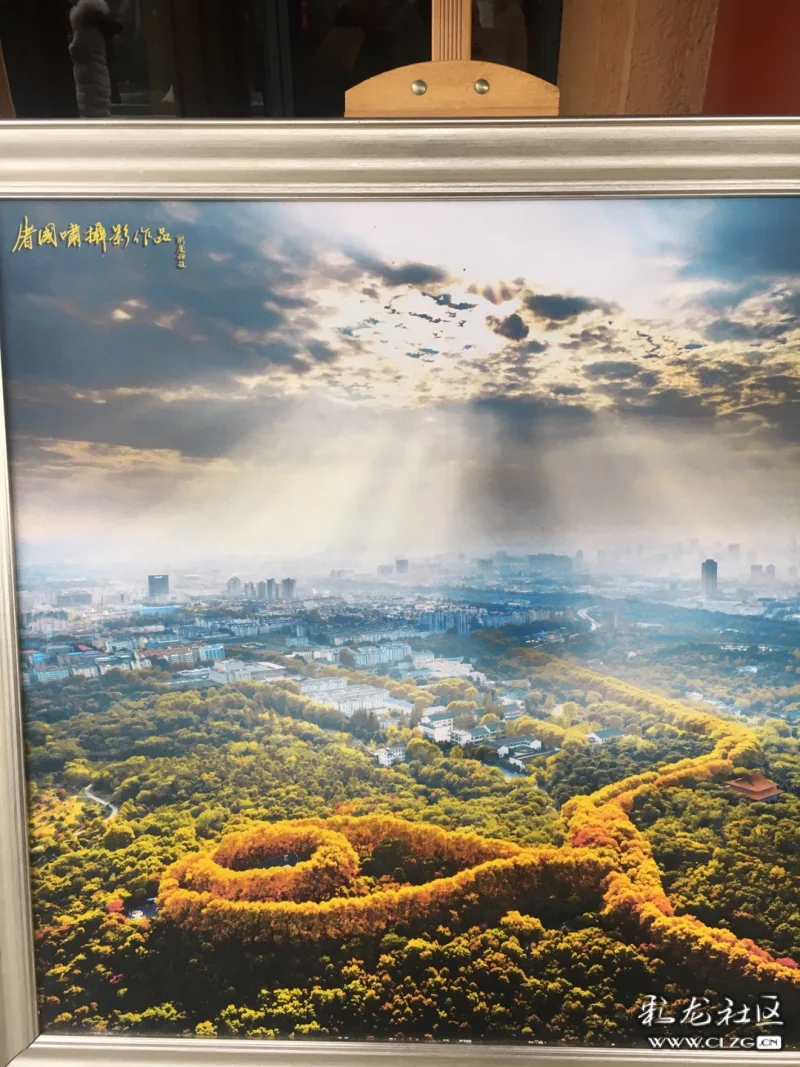 彼时之南京美龄宫忆2019年初冬