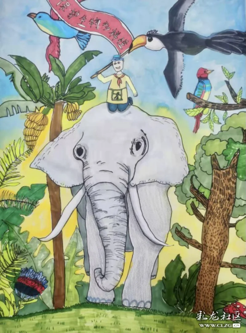 2021自然与艺术保护生物多样性全球艺术大赛即将公布入选结果