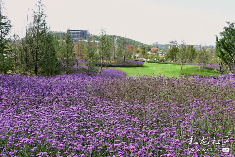 融创雁来湖小镇