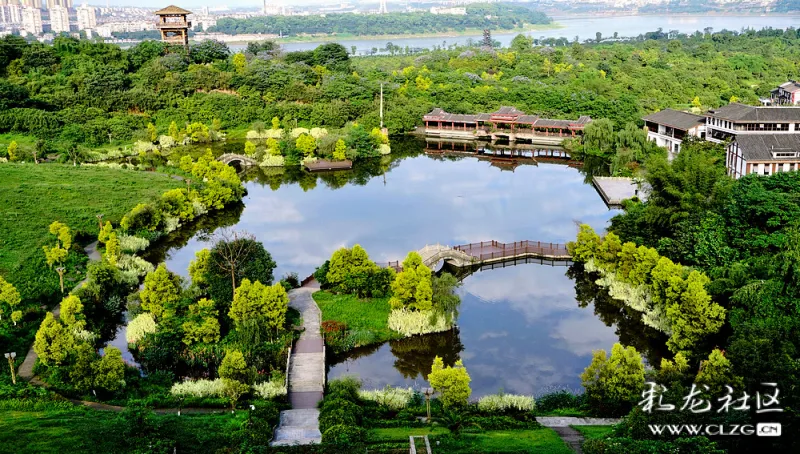 航拍长江边泸州市的张坝桂圆林