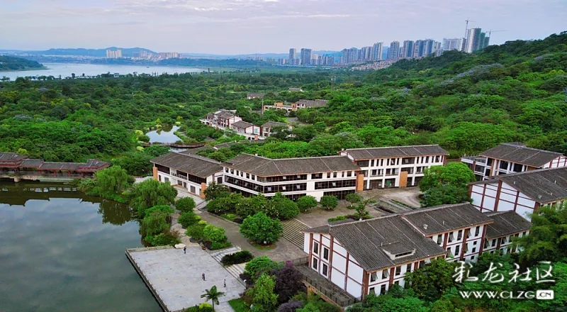 航拍长江边泸州市的张坝桂圆林