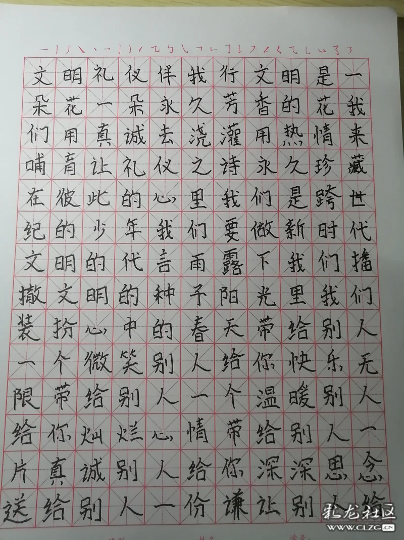 礼仪文明伴我行