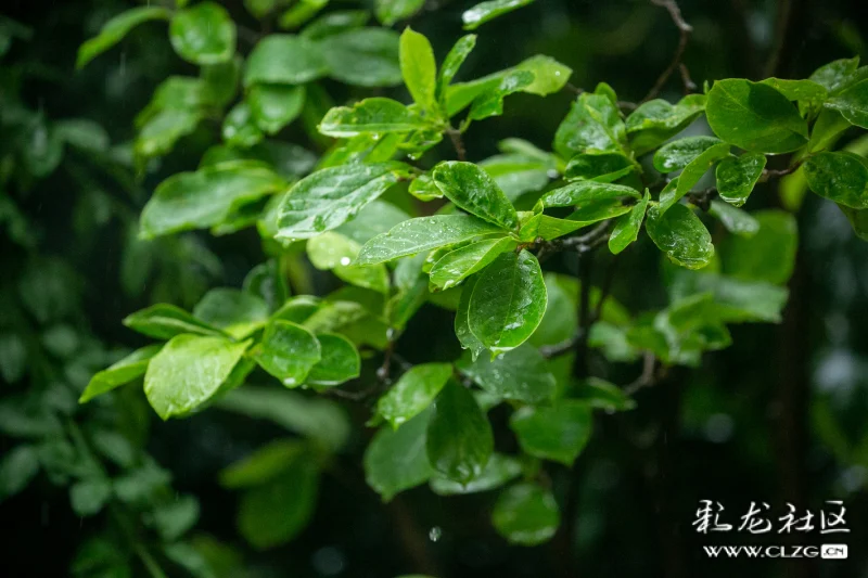 窗外的雨滴