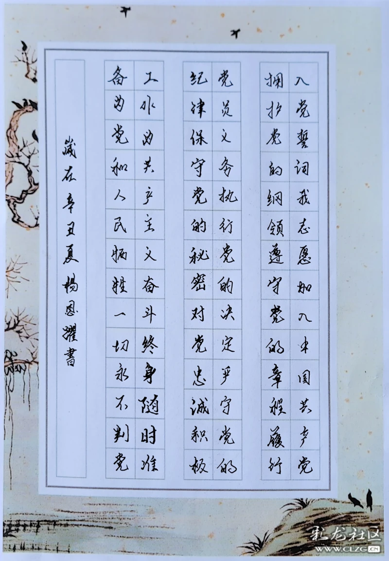 硬笔书法入党誓词