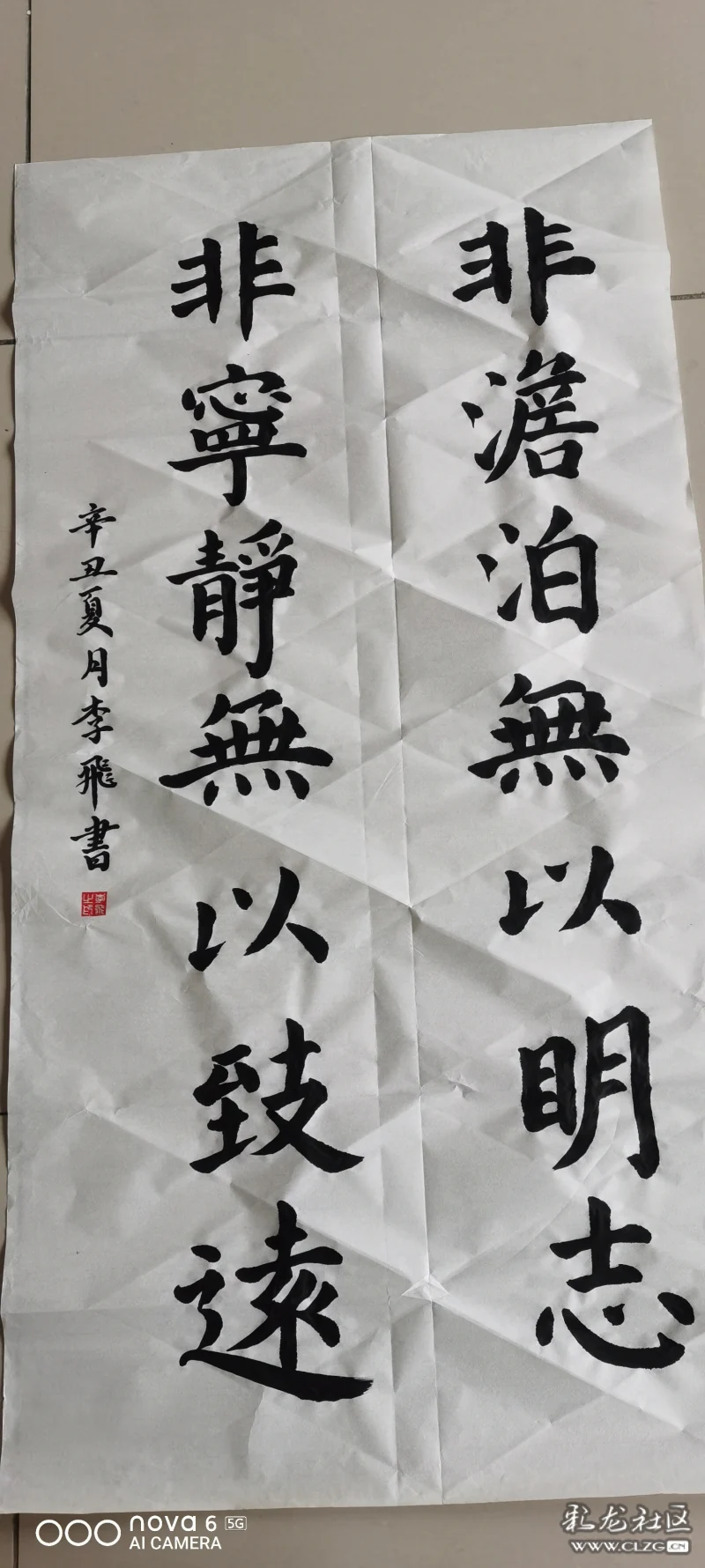 软笔书法-彩龙社区