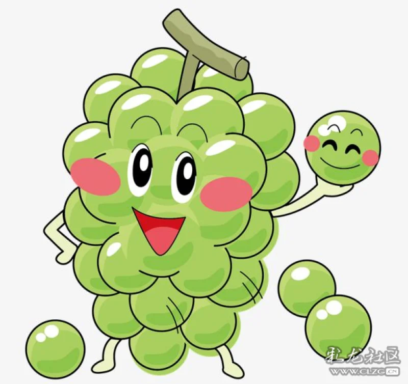 酸甜多汁的葡萄,你最爱哪一种呢?(文末有安利!)-彩龙社区