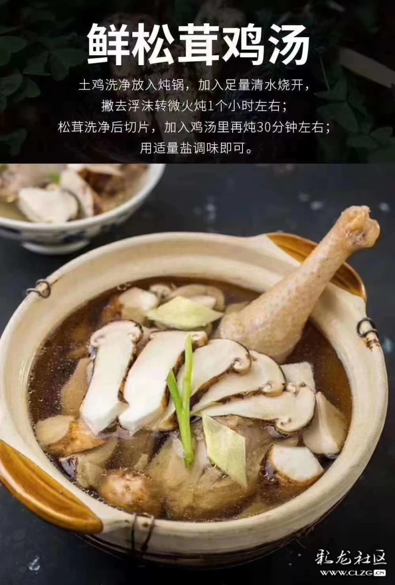 松茸的吃法和价值科普看这里