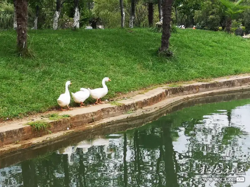 昆明沙朗西翥温泉田庄