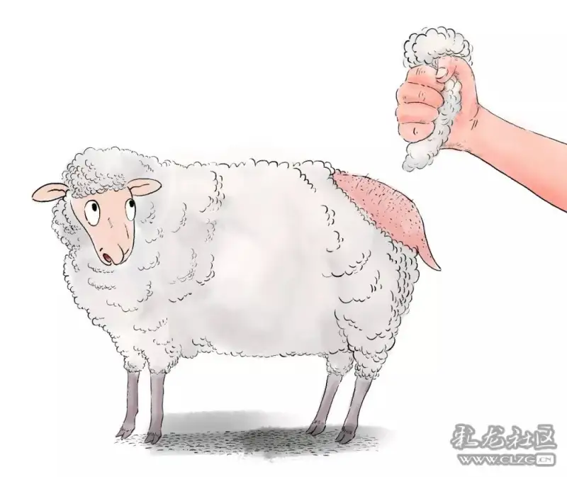 各大银行薅羊毛攻略盘点帮你省半月工资不用谢