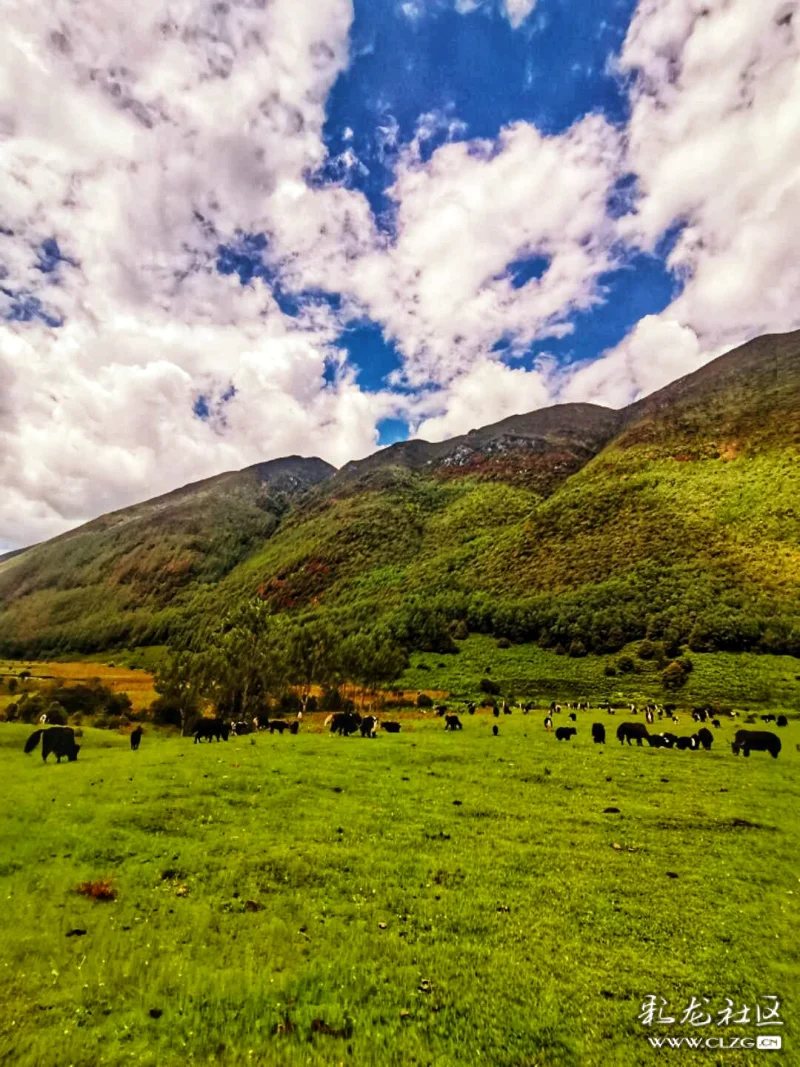 临风问天花甸坝61秋色横空
