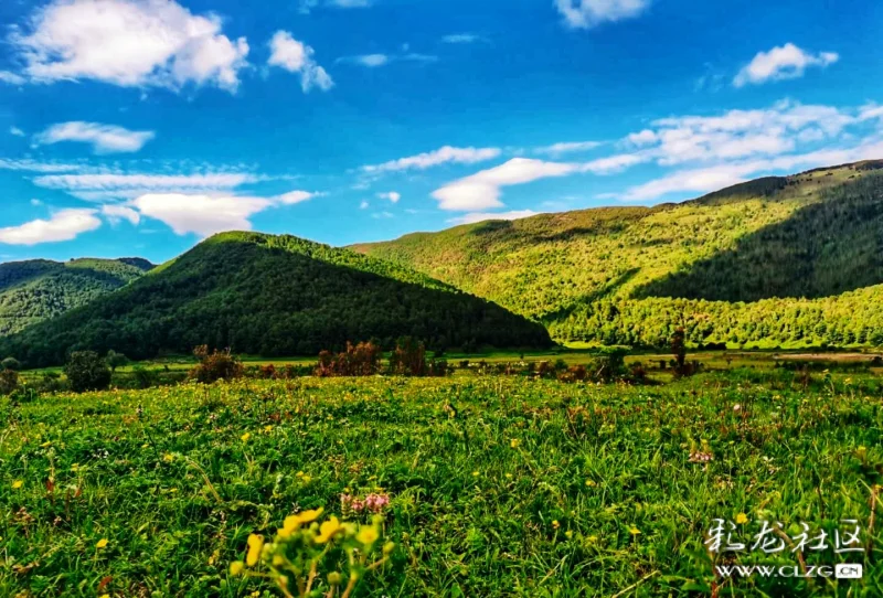 临风问天花甸坝61秋色横空