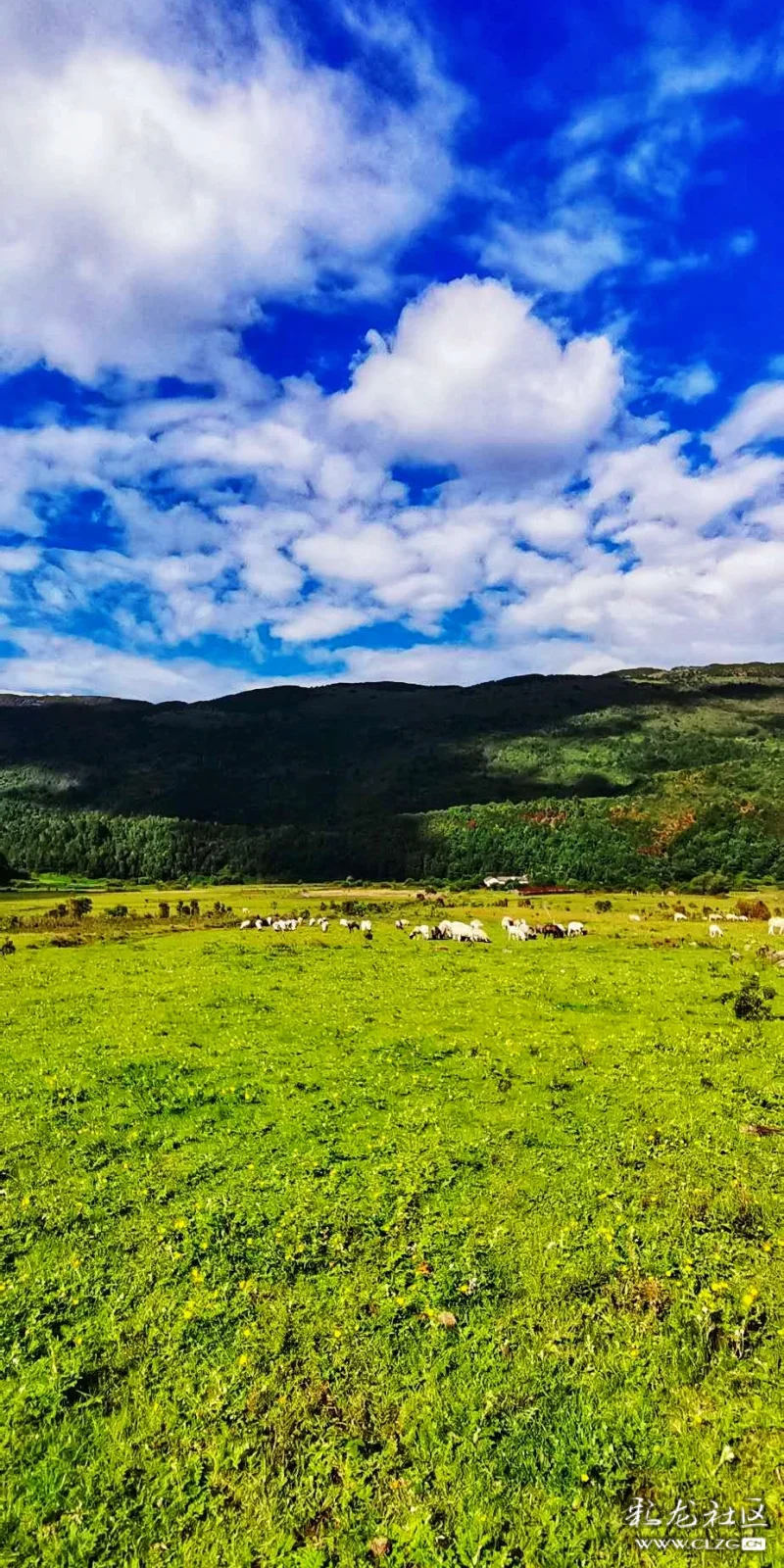 临风问天花甸坝61秋色横空