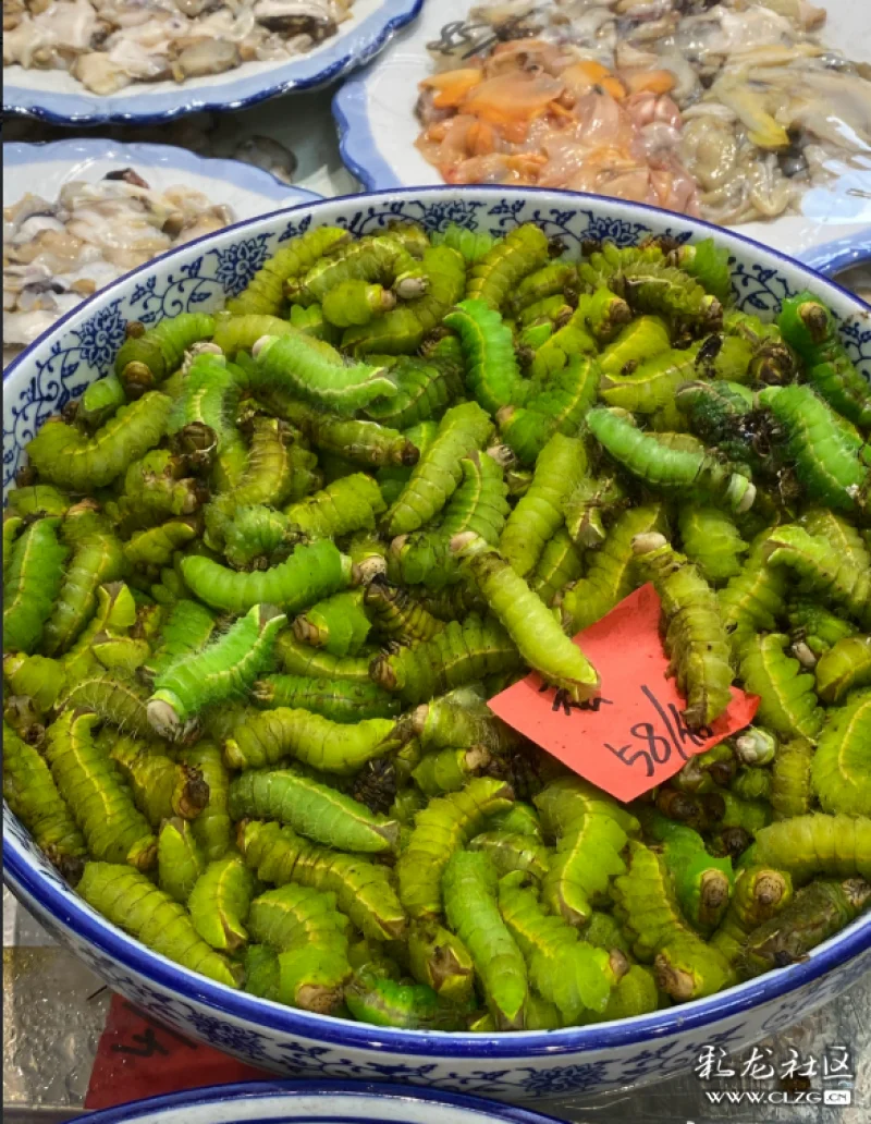 虽然云南也吃虫无数,但这个过于"肥美"太刺激了耶确定这美味?