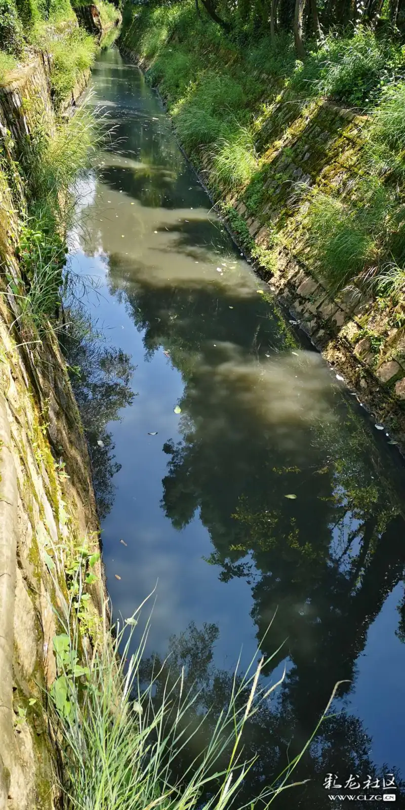 雨后的官渡宝象河水黑的