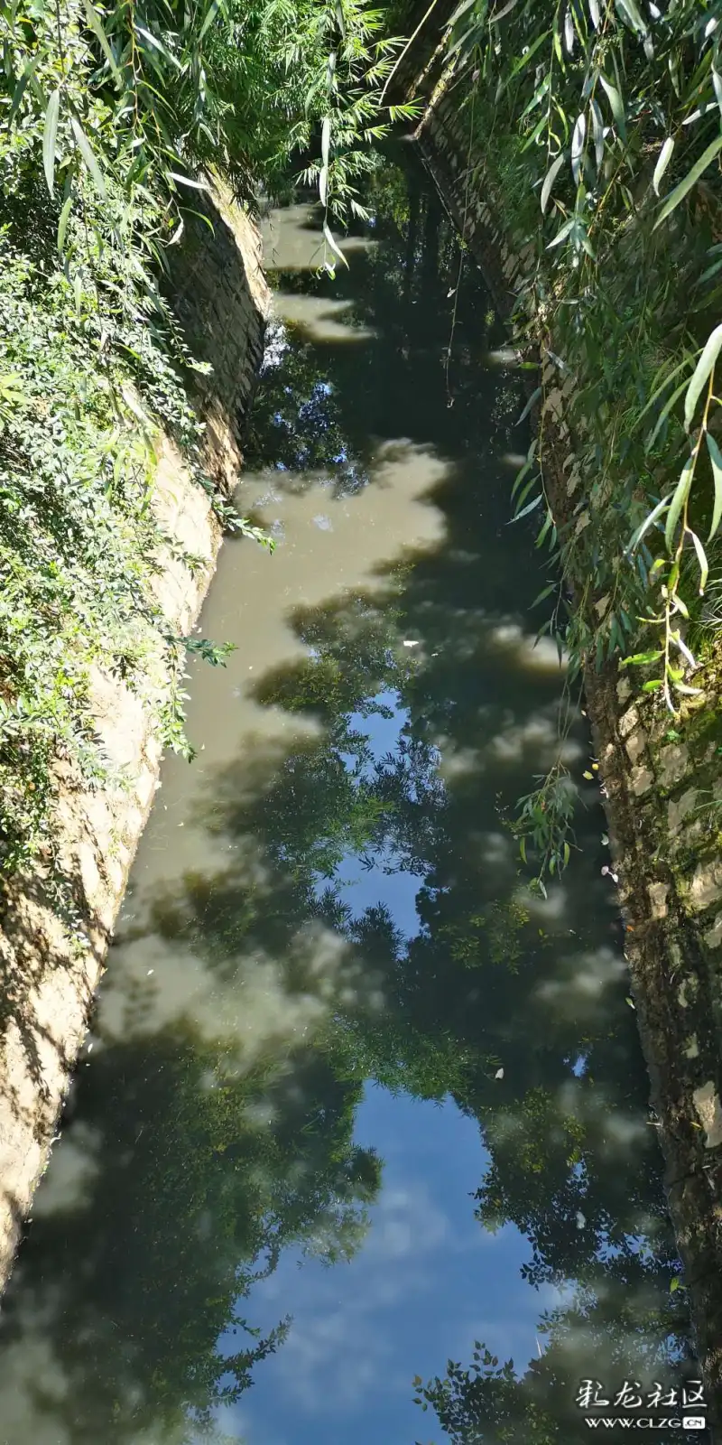雨后的官渡宝象河水黑的