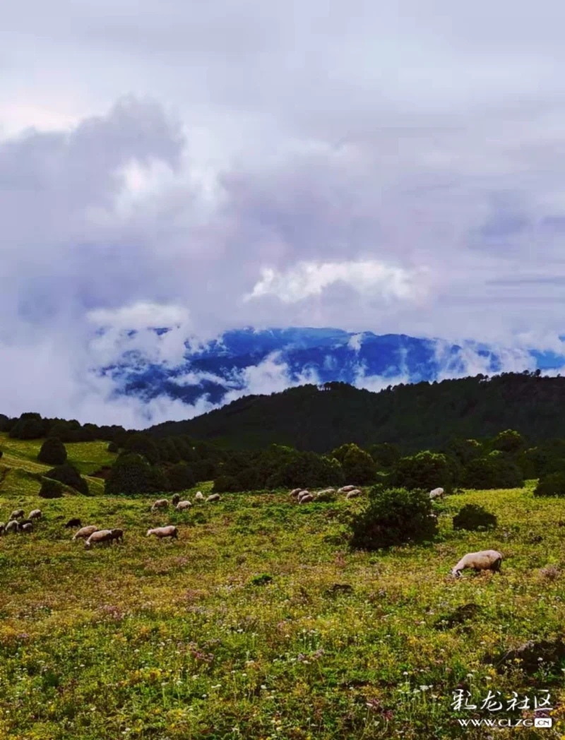 临风问天格萨拉61高山牧场