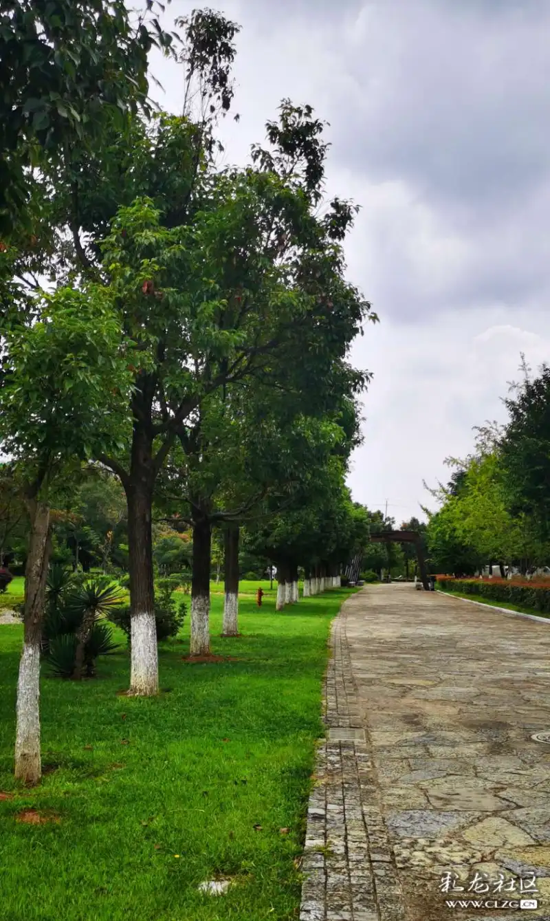 初秋的春城公园20219