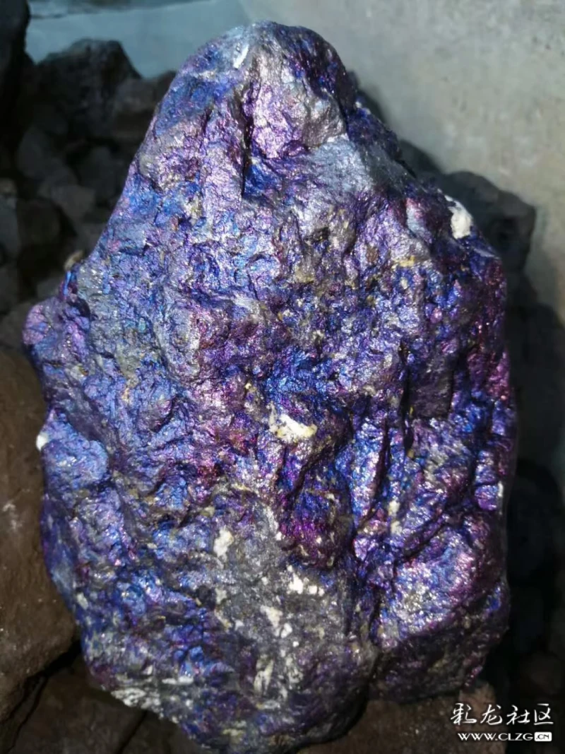 斑铜矿 一一赏石诗之五十七(雪山雄鹰)-彩龙社区