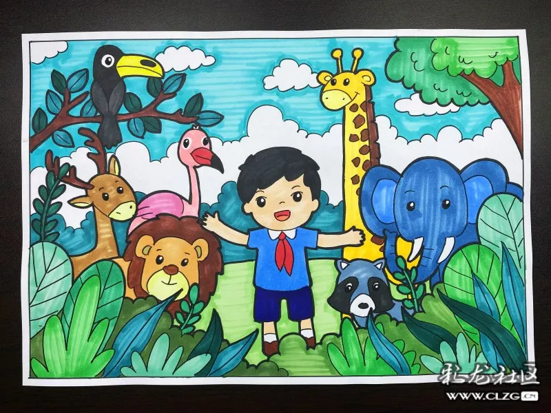 保护动物爱护环境