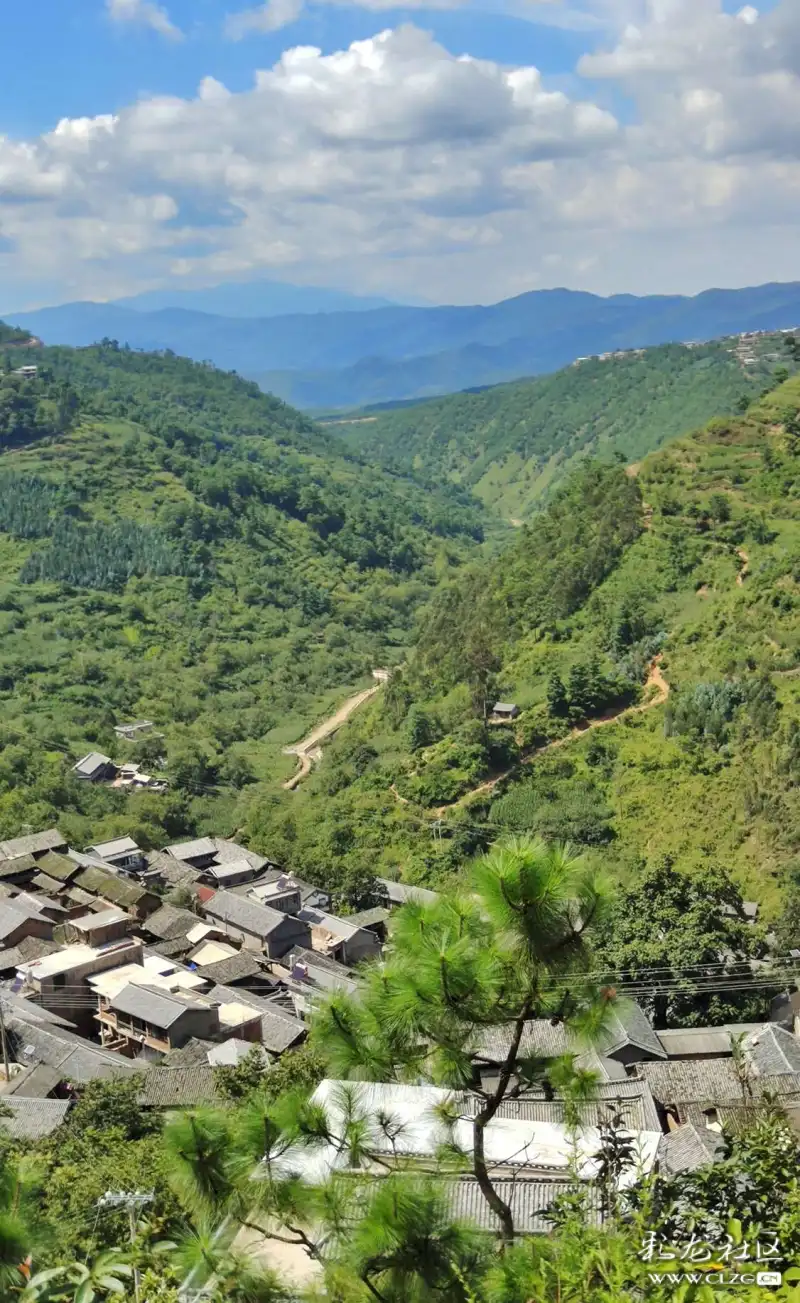 大山里的啄木郎村-彩龙社区