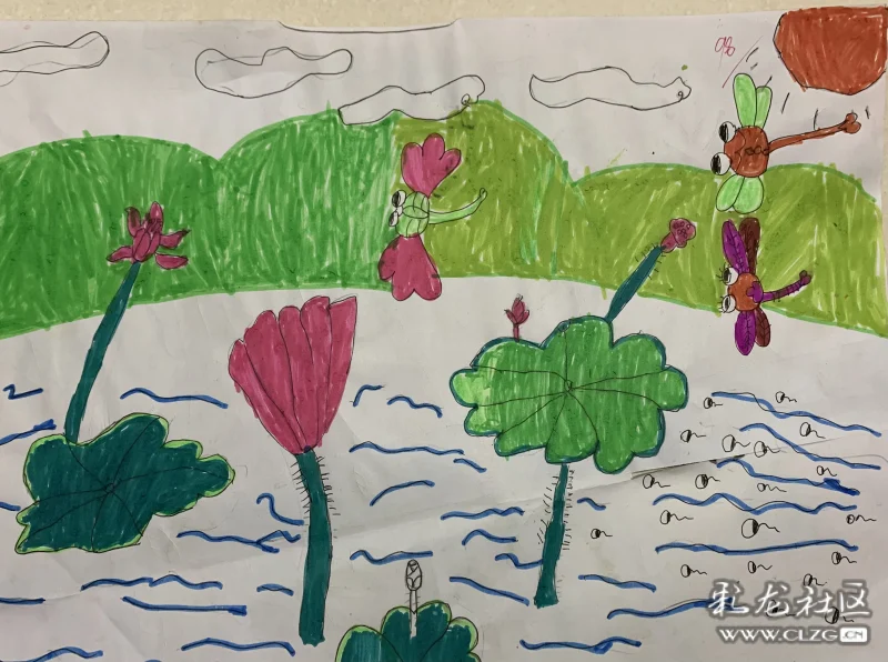 生态之美 绿色之美