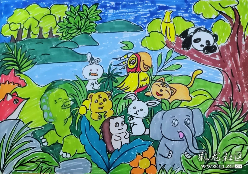 多彩的动物世界