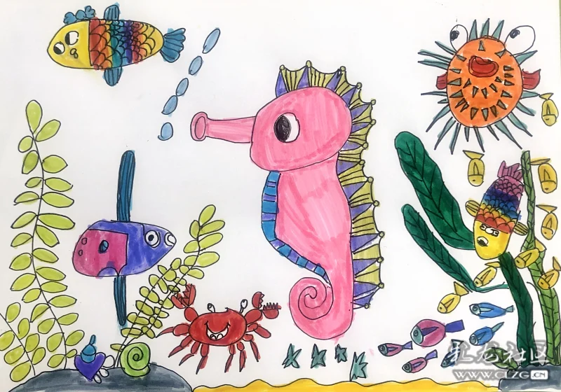 海洋中的生物多样性